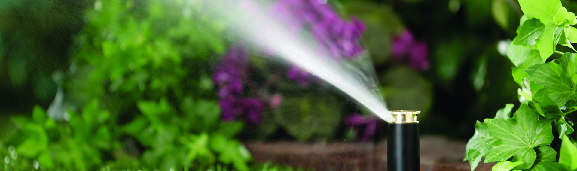 garden-watering-systems